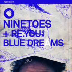 [TNT014] Ninetoes - Bill Re. You remix [Teaser]