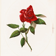 You And I (Forever)- Jessie Ware (Cover)