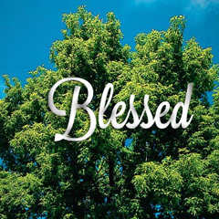 Blessed Ft. Dustin Cameron