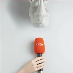 Podcasts / Interviews