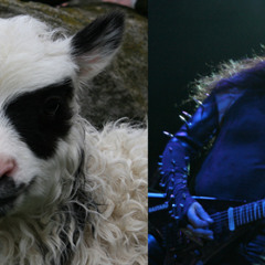 🔪Black Metal 🪓