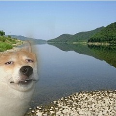 동소제 재생목록?