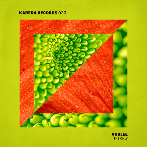 Andlee - The Only (Original | SNIP