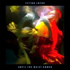 Flying Lotus Getting there ft. Niki Randa