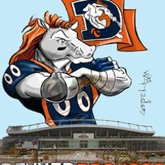 THATS THEM DENVER BRONCOS