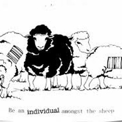 Cid Acoustic Freestyle