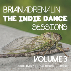 The Indie Dance Sessions 3