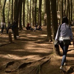 The Call (ost narnia)