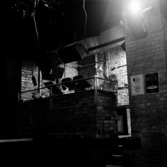 Nocturnal (30.08.2015)