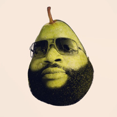 Ricky Rozay Shit