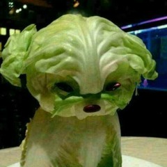 The Show - Kristelle Cover