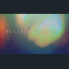 Skatiena Naktis
