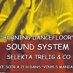 Tr3lig >> Burning dancefloor Sound | "Vinyles Mania" >> Radio Zion (08-21-2015)