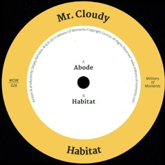 B Habitat / 12" Vinyl / MOM 026