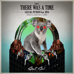 Saccao, Nytron feat. DIVA - There Was A Time (Original Mix)