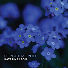 Forget Me Not (Prod. By Vbnd)