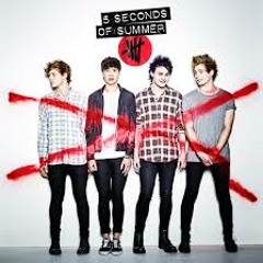 5 Seconds Of Summer - She's Kinda Hot (Live)