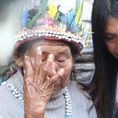 ‘Fazendeiros tiram nossa vida como se a gente fosse animal’, diz líder guarani-kaiowá