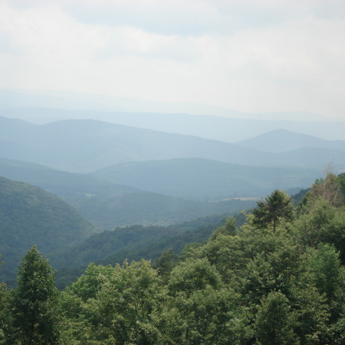 Stream Prison Ecology Project By Narrative Arts Listen Online For