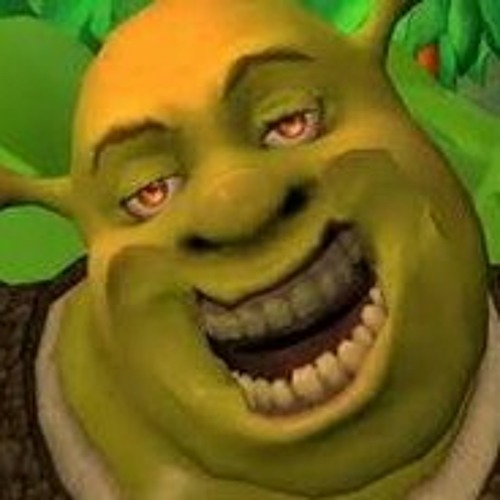 Sherk + roblox man face 😮‍💨  Shrek funny, Roblox funny, Male face