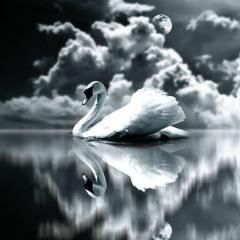 The Swan (solo piano)