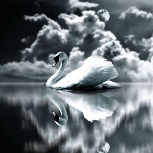 The Swan (solo piano)