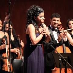 Cecilia Y Santiago Suite I