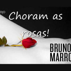 VS - CHORAM AS ROSAS - Bruno e Marrone