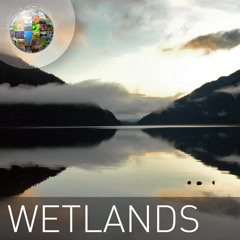 Wetlands Demo