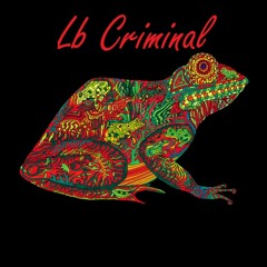 Lb Criminal - Spider (Original mix)