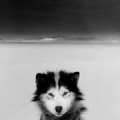 Túnel (free download)