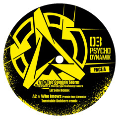 Ed Solo - The Coming Storm (Psychodynamik 03 - Vinyl & Digital)