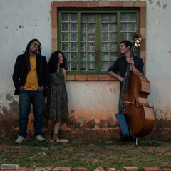 CASA VAZIA (Luis Felipe Gama)