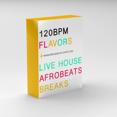 BREAKBEATLOOPS.COM 120BPM AFROBEAT
