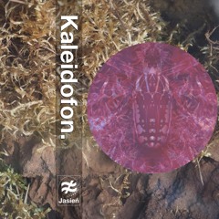 JAS015: Kaleidofon. // Łukasz Ciszak - Two Ages