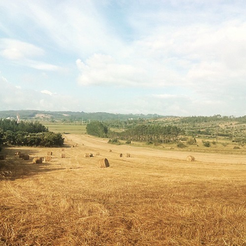 Are you there? (Live!)