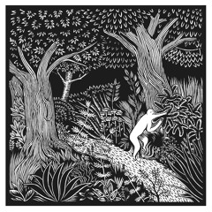 Shine (video in description)