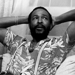 Inner City Blues - Marvin Gaye (Lucian Edit)