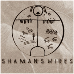 Shaman's Wires - AngelinaYershova_NicolaBaroni -  glimpse 5