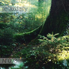 N°098 - Light Music - instrumental, study, think, relax