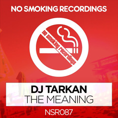 DJ Tarkan - The Meaning (Original Mix)
