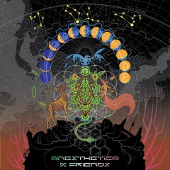 Xenrox - Post Life [180] (V.A. Anesthetica & Friends)