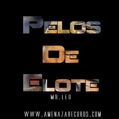 Pelos De Elote Mr.leo