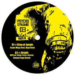 MCD feat. Ragga Twins & Myesha - Alright (Benny Page Remix) - Psychodynamik 03 - Vinyl & Digital