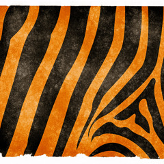 Nighthawk - Eye Of The Tiger (Tuff Time Edit)