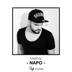 Rough Recordings Podcast Episode013 | mixed by Napo