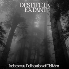 Destitute Extant - Ataractic Quietus (Single)