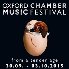 Dvorak Serenade E Minor 1st Movt.