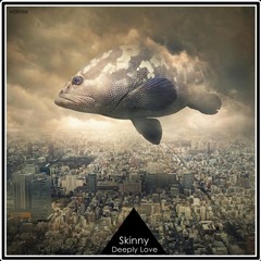 DjSkinny - Deeply Love (Distant Fragment Remix)