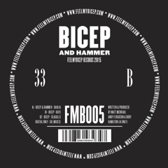 Premiere: Bicep - Rays